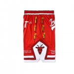 NBA Goat Chicago Bulls shorts Rouge